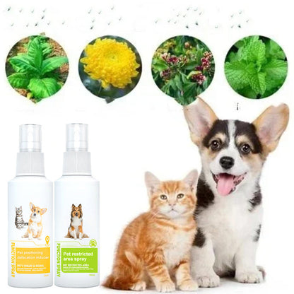 Pet Potty Here Training Spray