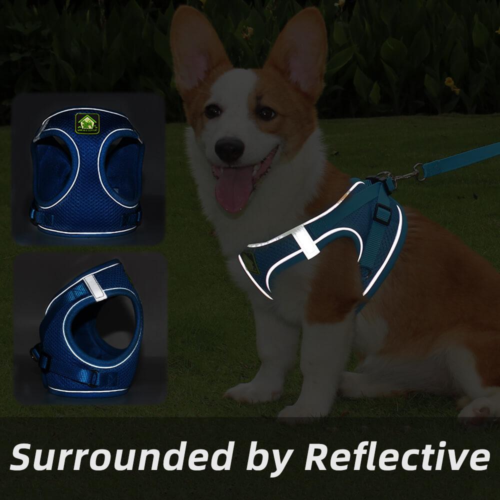 Escape Proof Pets Vest Harness and Leash Set