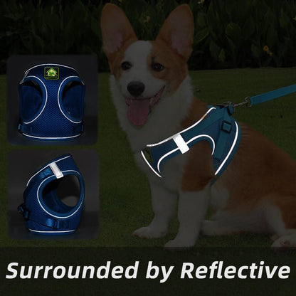 Escape Proof Pets Vest Harness and Leash Set