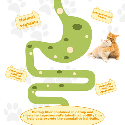Catnip Ball Safe Healthy Kitten Chew Toys
