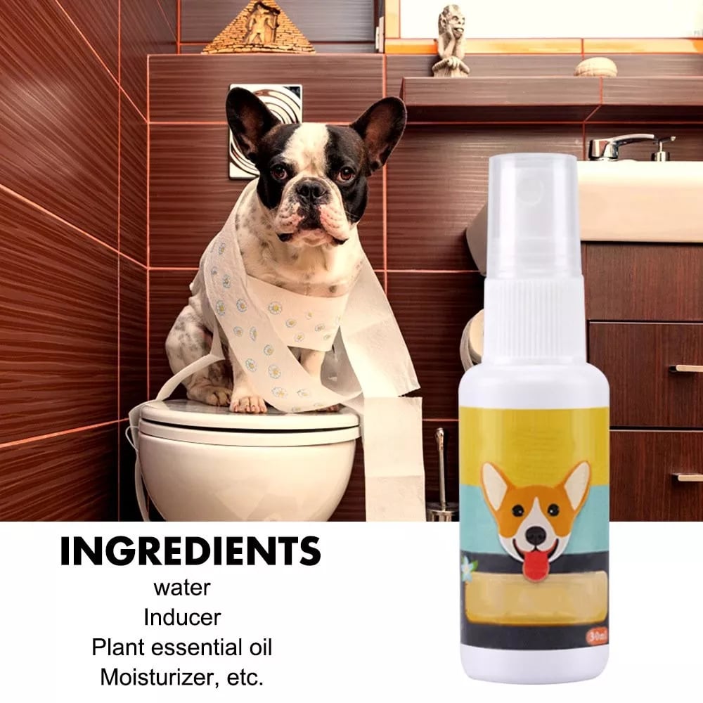 Pet Potty Training Spray