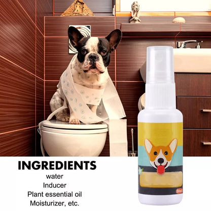 Pet Potty Training Spray