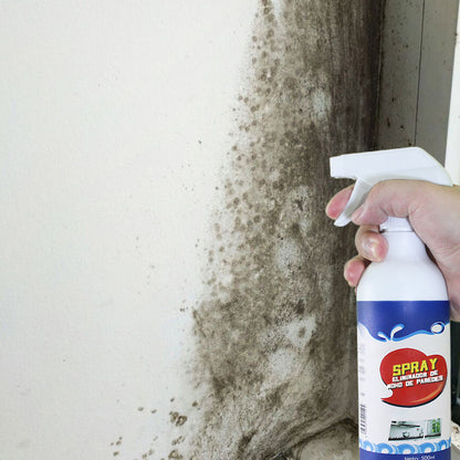 WALLFDRM REMOVER SPRAY