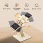 🚀DIY Solar-Powered Wooden Satellite Model Science Kit🌍