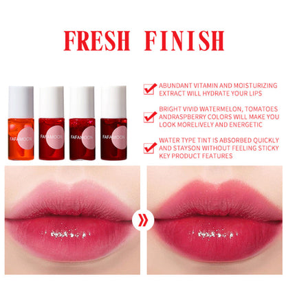 4 Colors Moisturizing Long-Lasting Lip Gloss