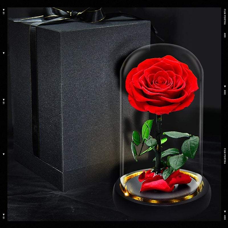 Never Withering Rose(A Gift Box Free)