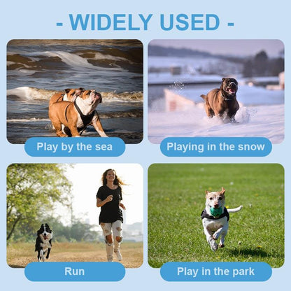 Extreme Warmer Dog Clothes