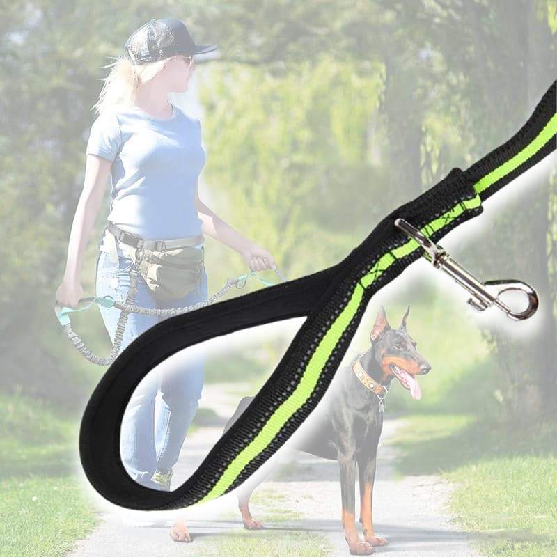 Elastic Retractable Reflective Belt Traction Rope