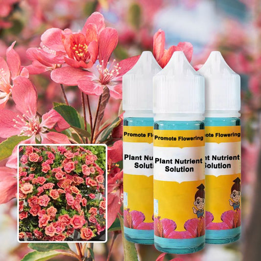 Rapid Flower-promoting Nutrient Solution