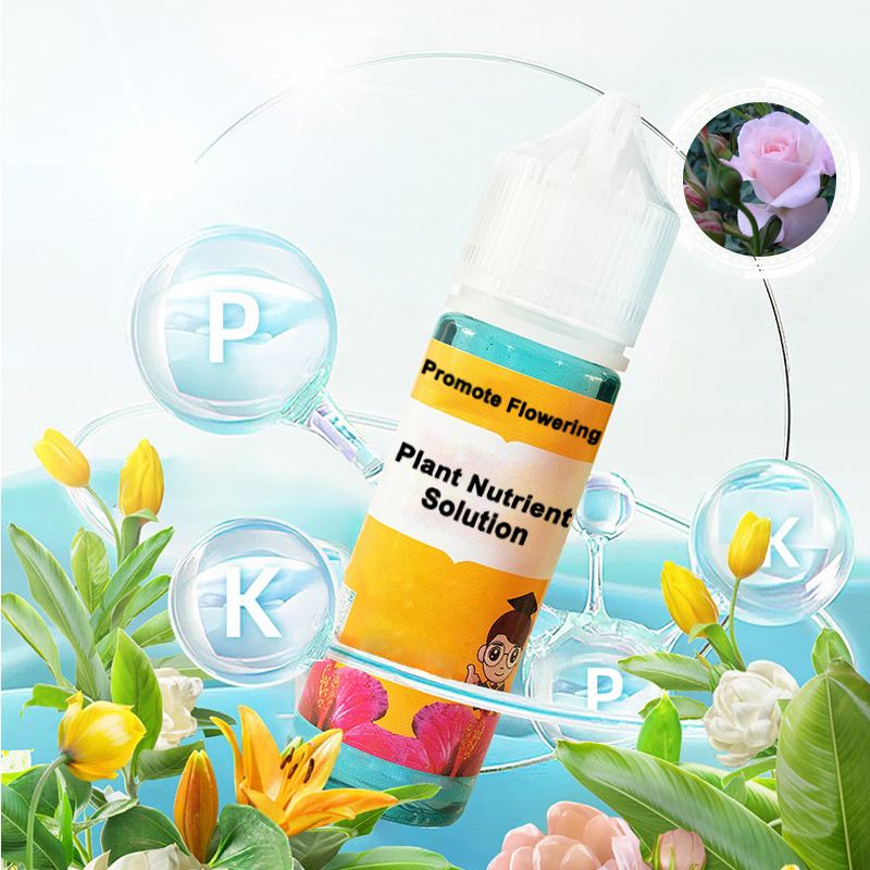 Rapid Flower-promoting Nutrient Solution