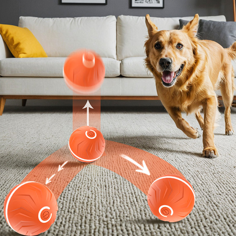 Smart Rechargeable Interactive Ball Toy for Dog