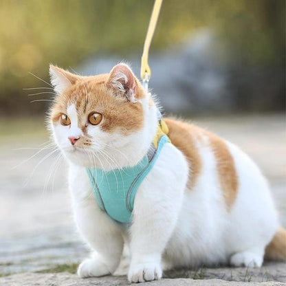 Escape Proof Pets Vest Harness and Leash Set