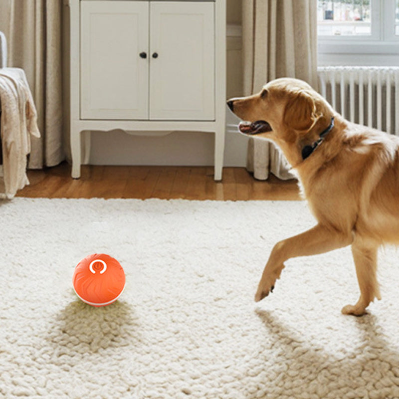 Smart Rechargeable Interactive Ball Toy for Dog