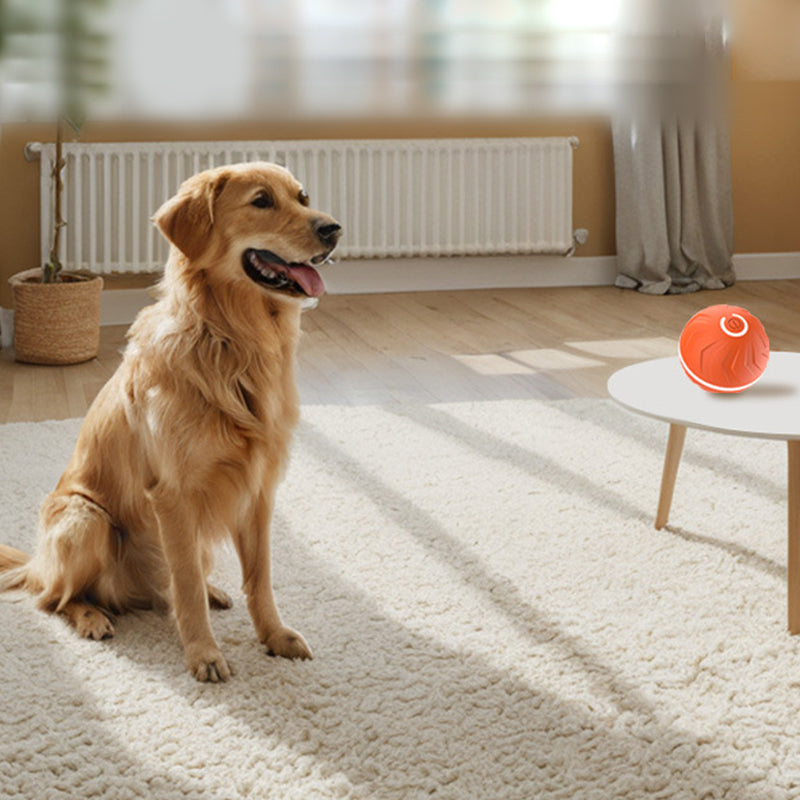 Smart Rechargeable Interactive Ball Toy for Dog