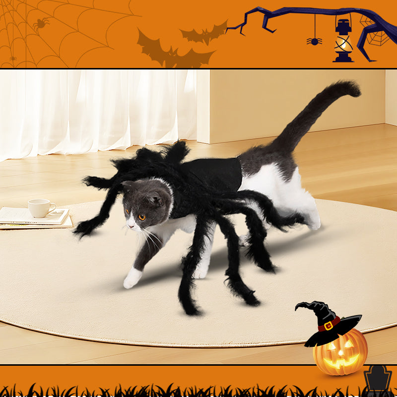 Creative Festival Spider-Shaped Pet Dog Clothes