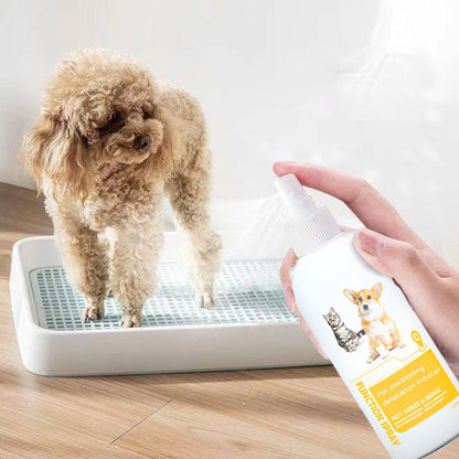 Pet Potty Here Training Spray