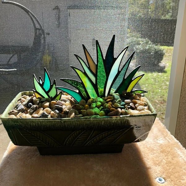 (Mother's Day Flash Sale-50% OFF) Stained Agave Plante-BUY 4 FREE SHIPPING