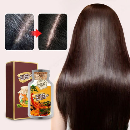 Great Gift! Natural Plant Bubble Hair Dye