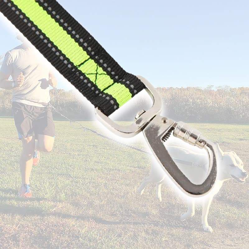 Elastic Retractable Reflective Belt Traction Rope