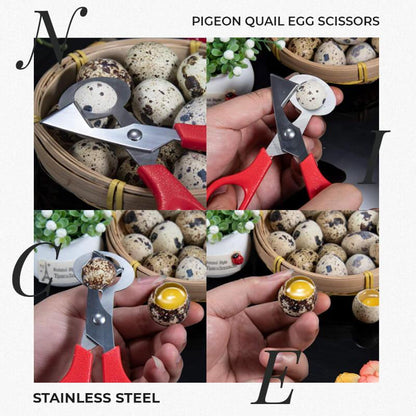 Stainless Steel Pigeon Quail Egg Scissors（46% OFF）