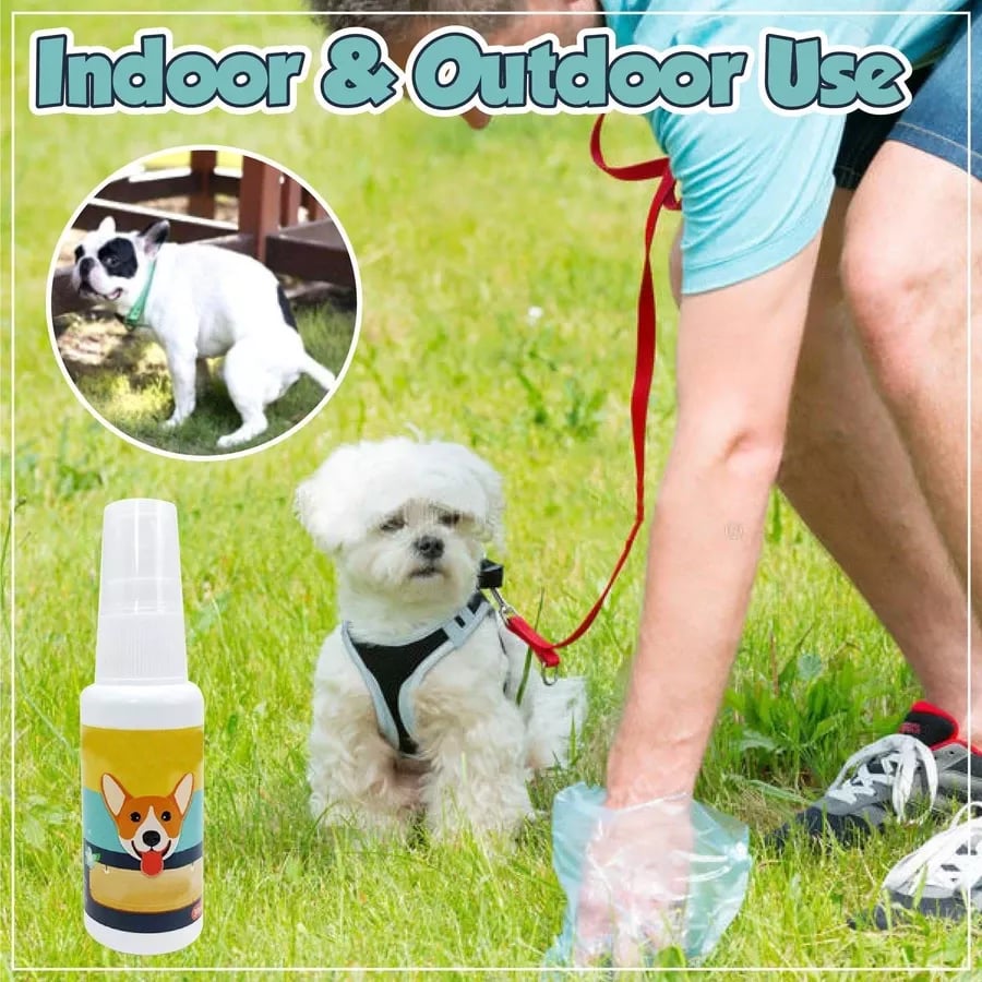 Pet Potty Training Spray