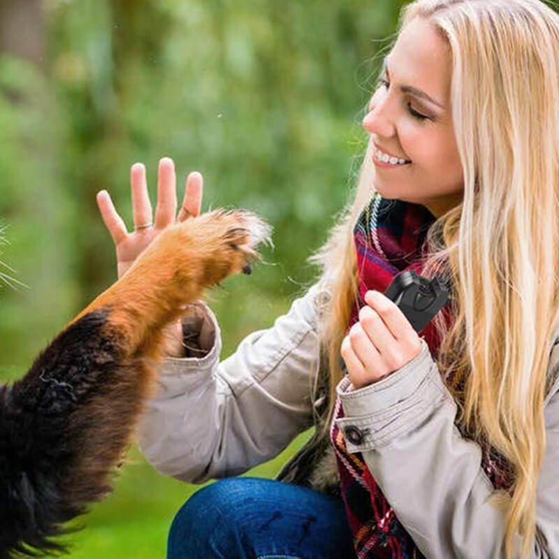 Ultrasonic Dog Repeller