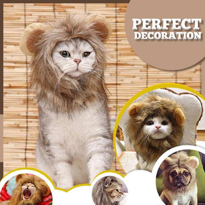 Funny Pet Wig