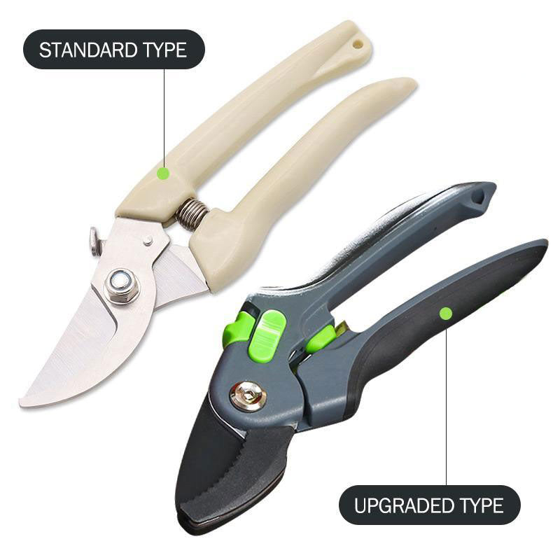 Pruning Shears