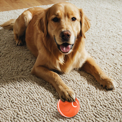 Smart Rechargeable Interactive Ball Toy for Dog