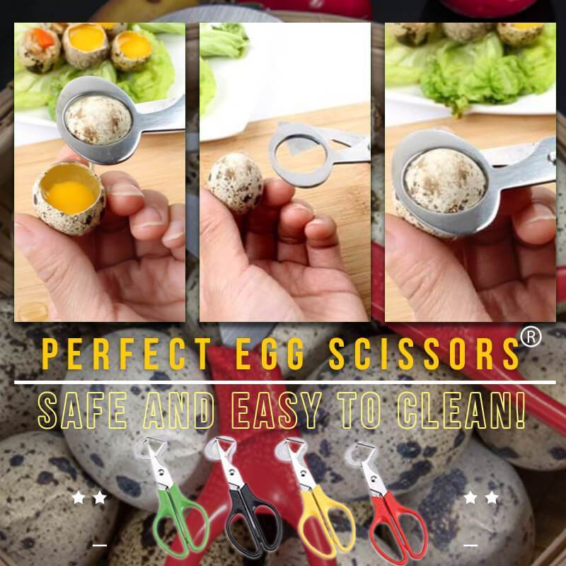 Stainless Steel Pigeon Quail Egg Scissors（46% OFF）