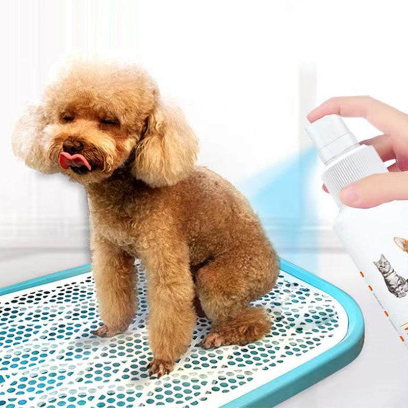 Pet Potty Here Training Spray