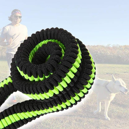 Elastic Retractable Reflective Belt Traction Rope