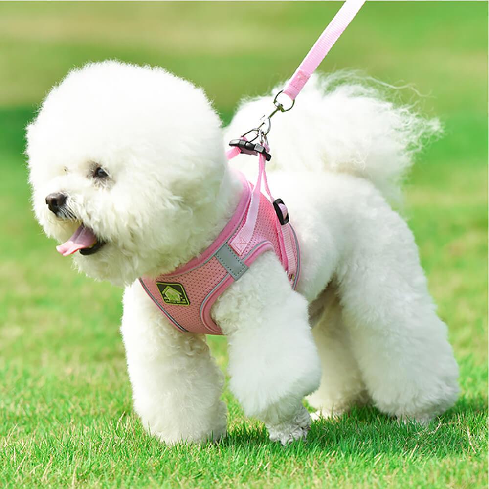 Escape Proof Pets Vest Harness and Leash Set