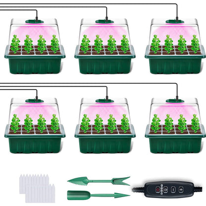 Seed Starter Trays with Grow Light