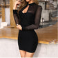 Sexy Mesh Bodycon Mini Dress