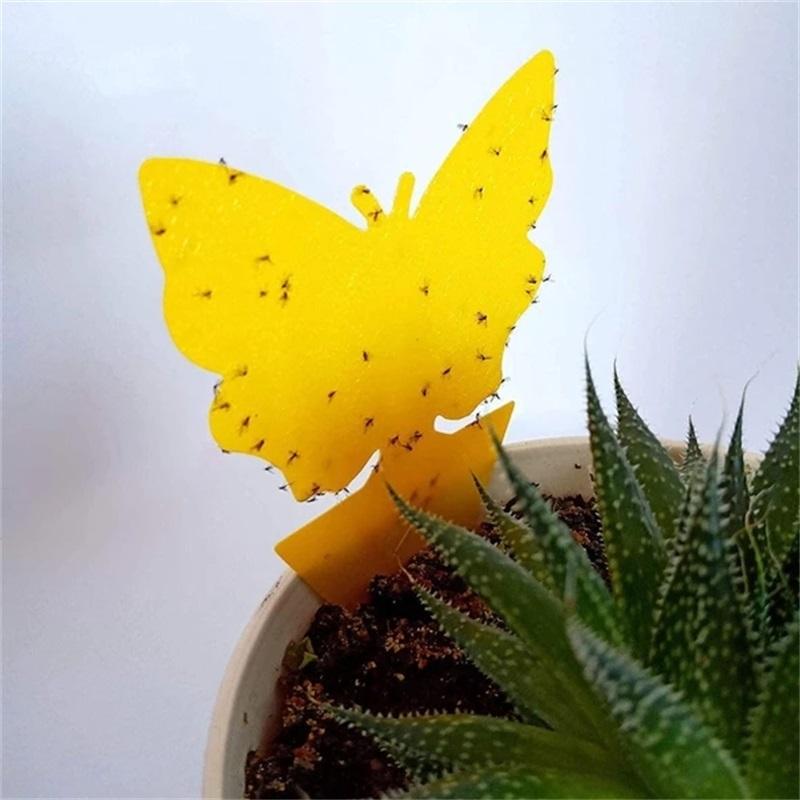 Schmetterling Klebriges Insektenbrett ( 10PCS/20PCS/40PCS )