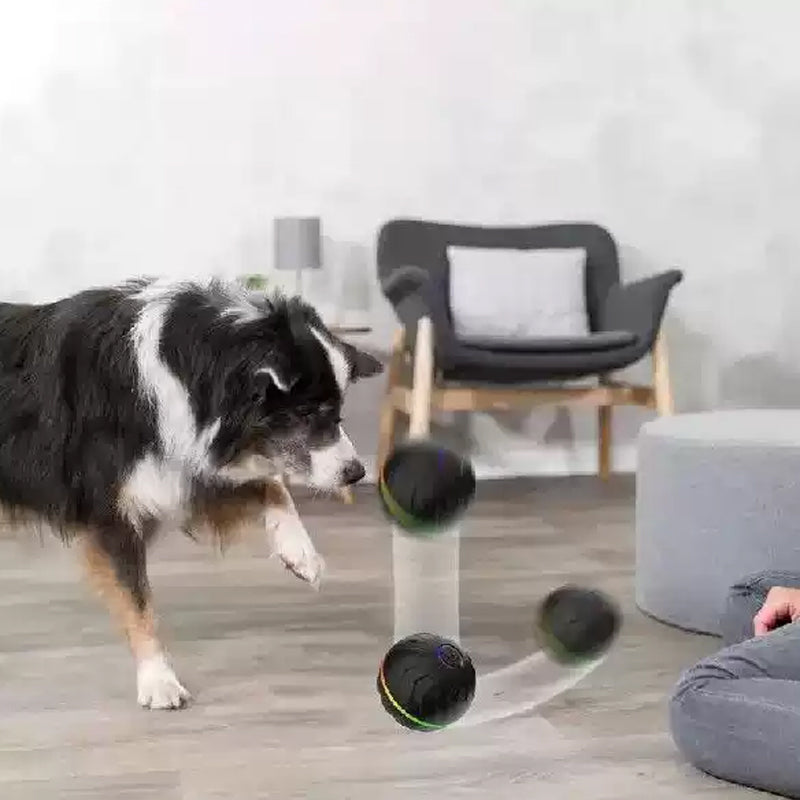 Smart Rechargeable Interactive Ball Toy for Dog