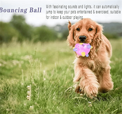 Jumping Activation Ball For Dogs And Cats