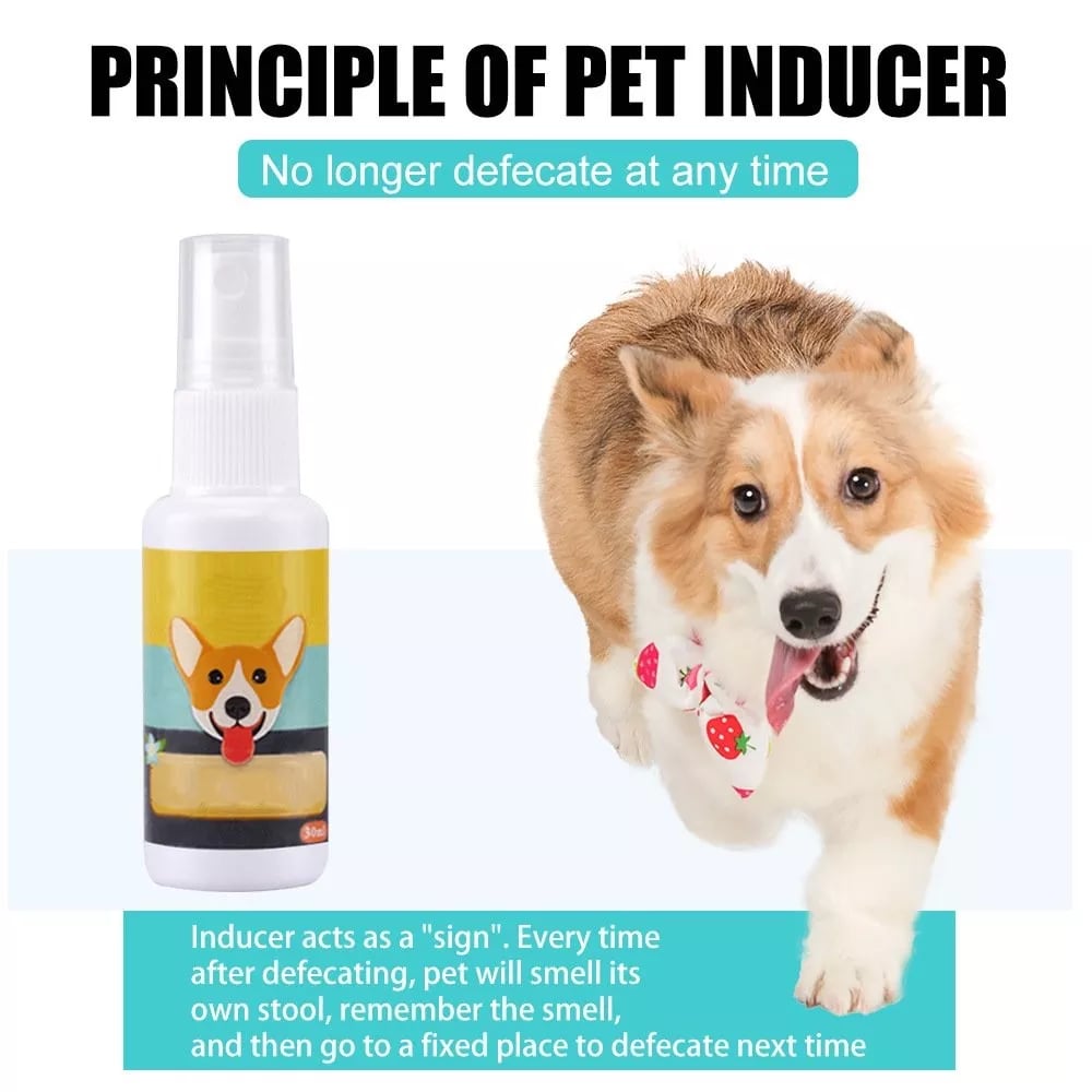 Pet Potty Training Spray