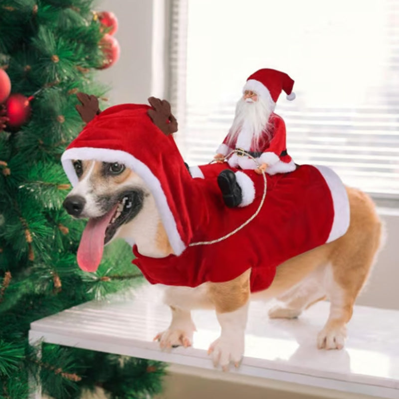 Santa Riding Dog Costume for Christmas