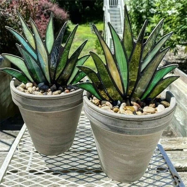 (Mother's Day Flash Sale-50% OFF) Stained Agave Plante-BUY 4 FREE SHIPPING