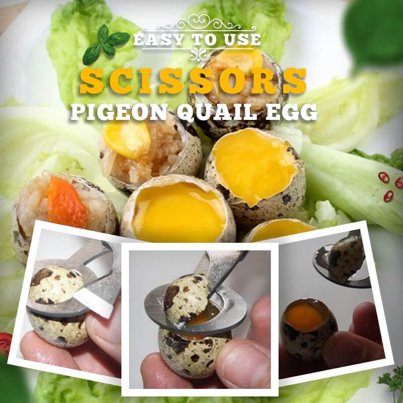 Stainless Steel Pigeon Quail Egg Scissors（46% OFF）