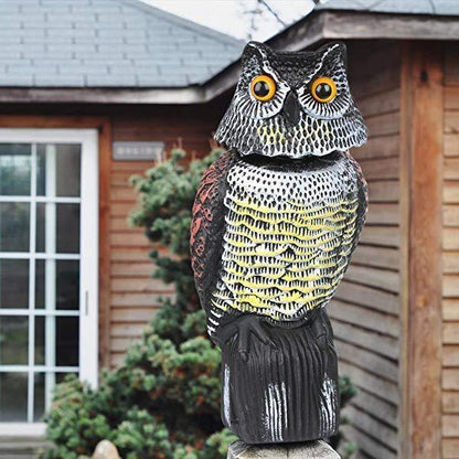 Shaking Head Owl