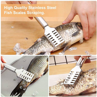 Stainless Steel Scale Scraper