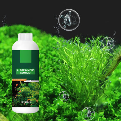 🎉Buy More Save More💥 Algae & Moss Remover for Fish Tank and Fish Pond - Safe Water Purification