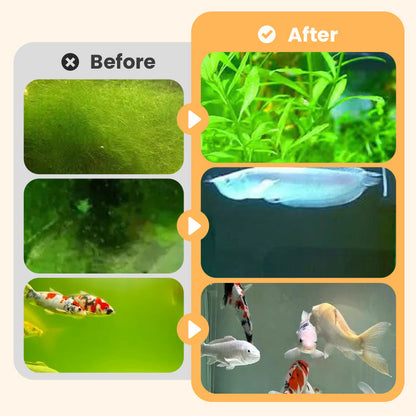 🎉Buy More Save More💥 Algae & Moss Remover for Fish Tank and Fish Pond - Safe Water Purification