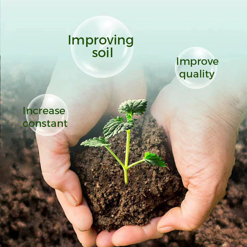 🔥Rapid Rooting And Flowering Powder