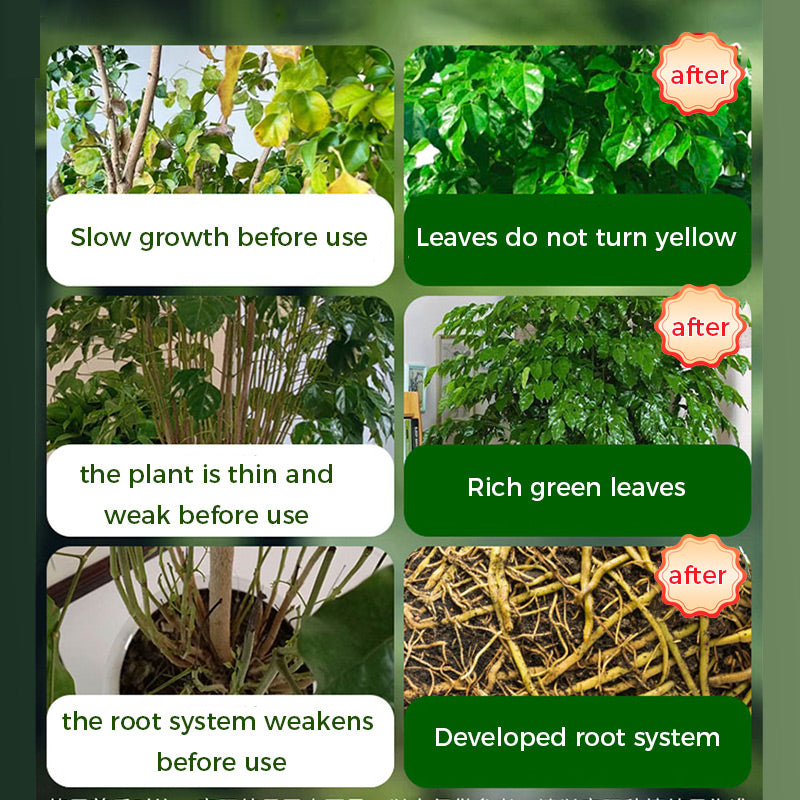 🔥Rapid Rooting And Flowering Powder