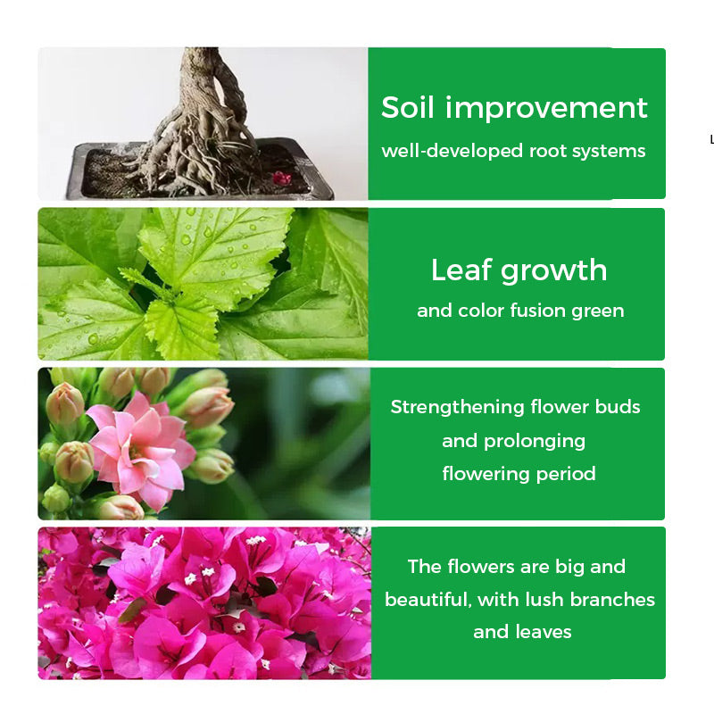 🔥Rapid Rooting And Flowering Powder