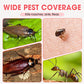 Indoor Fipronil Pest Control Spray. Plant-based Insect Repellent, Natural And Odorless